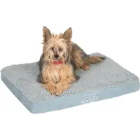 Zooplus Exclusive Hundeseng Memory firkantet, grå - L 100 x B 65 x H 9,5 cm
