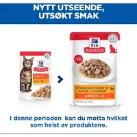 Hill's Pet Nutrition Adult - Kalkun (12 x 85 g)