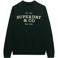 Superdry Superdrytil mænd. M6110788A Jersey Applique grøn (L), Casual, Bomuld