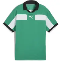 Puma Spilletrøje teamCLASSIC - Grøn/Hvid/Sort Børn, størrelse 140 cm