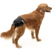 Savic Comfort Nappy T7 74-84 Cm Engangs Hundeble 12 Enheder