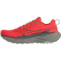 Saucony Løbesko 'RIDE TR3' mørkegrå / rød