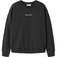 Name It Kids Sweatshirt sort