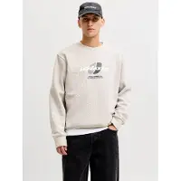 Jack & Jones Sweatshirt 'JCOCLUB' grå / antracit / hvid