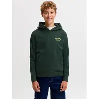JACK&JONES JUNIOR Logo Hættetrøje Boys
