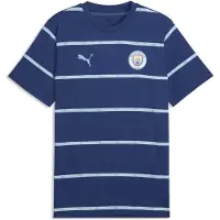 Puma Manchester City Ftblculture T-shirt Mit Print, størrelse Large