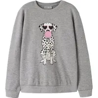 Name it Sweatshirt 'NKFVASACHA' grå-meleret / lys pink / sort / hvid