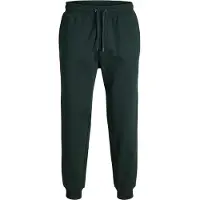 Jack & Jones Bukser 'JPSTGORDON JJBRADLEY' mørkegrøn