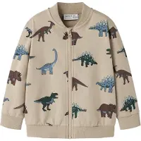 Name it Sweatjakke 'NMMNARIS' beige / lyseblå / mørkebrun / gran