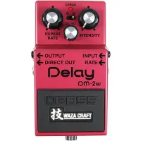 BOSS DM-2W Waza Craft Custom Delay